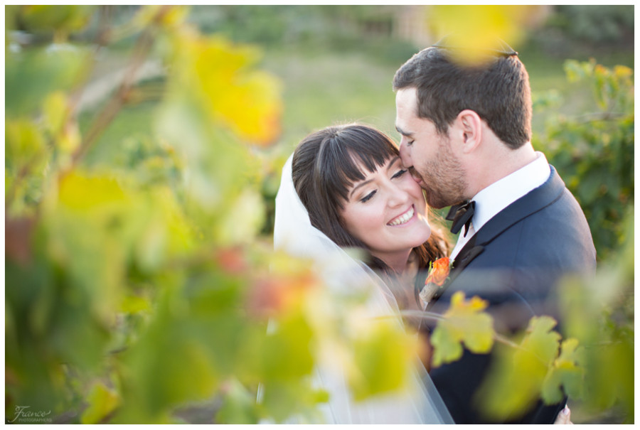 Callaway Winery Wedding Photos-15