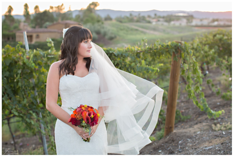 Callaway Winery Wedding Photos-18