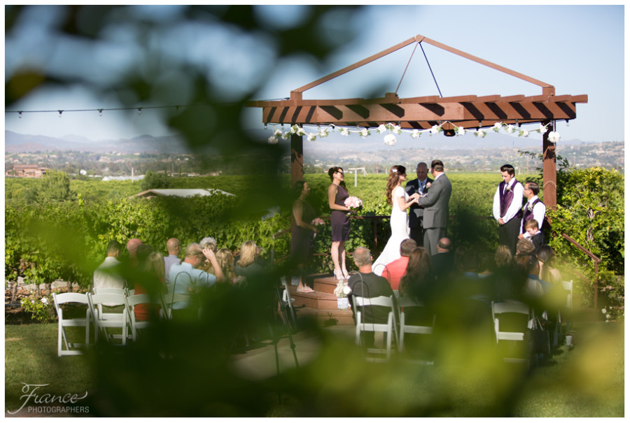Temecula Lorimar Winery Wedding Photos-6