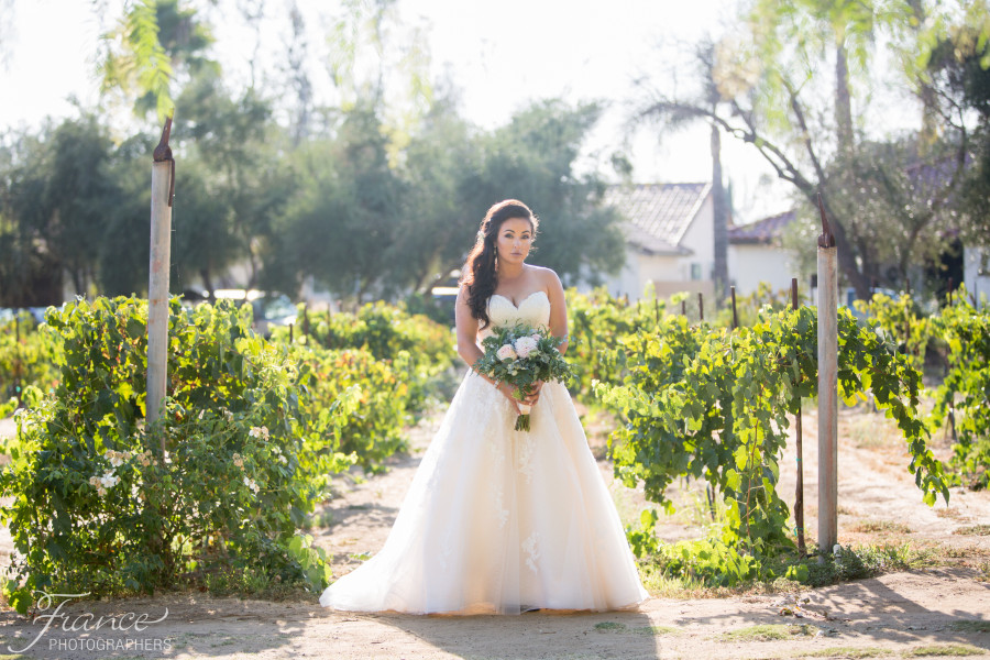 Bernardy Winery Wedding Photos-20