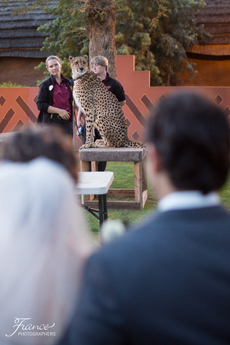 San Diego Safari Park Wedding Photos-21