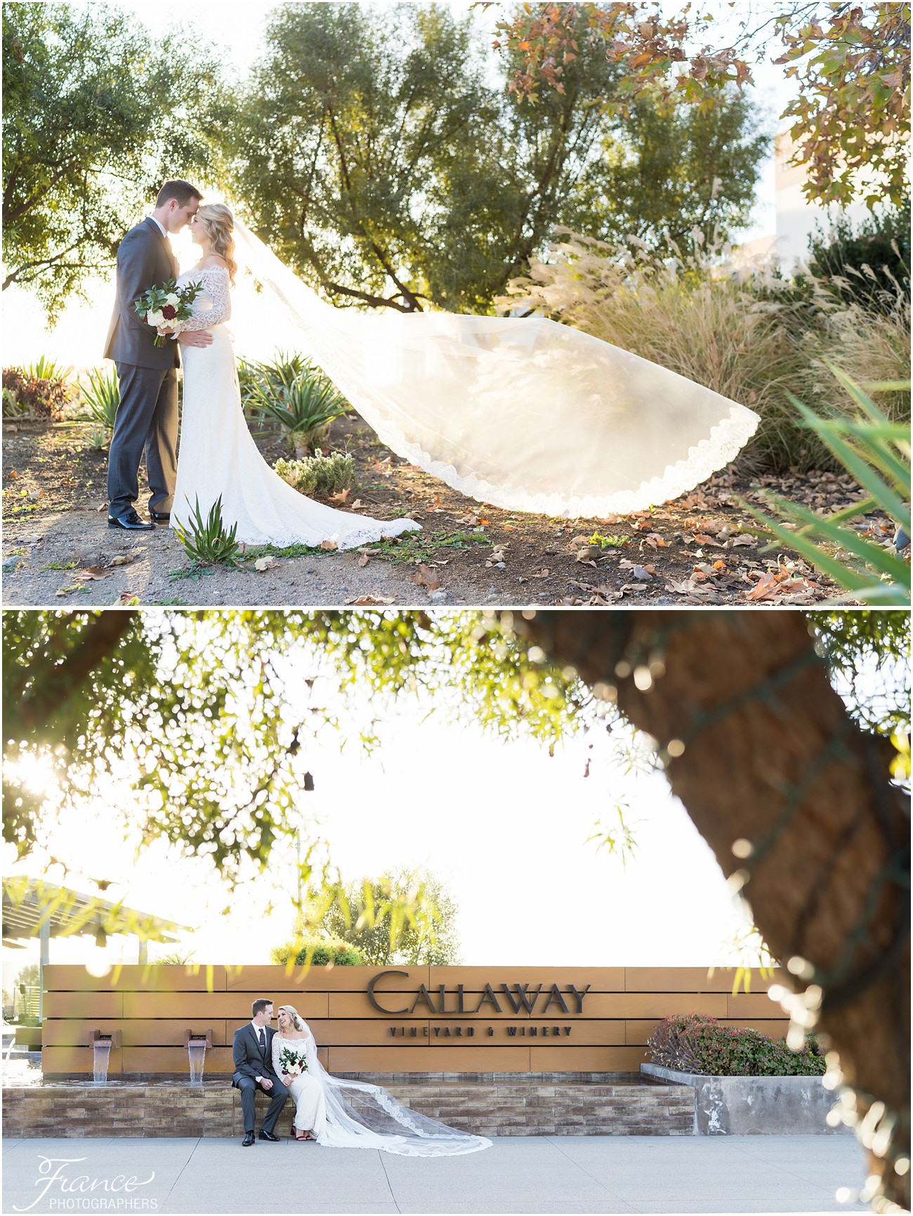 Callaway Winery bride and groom
