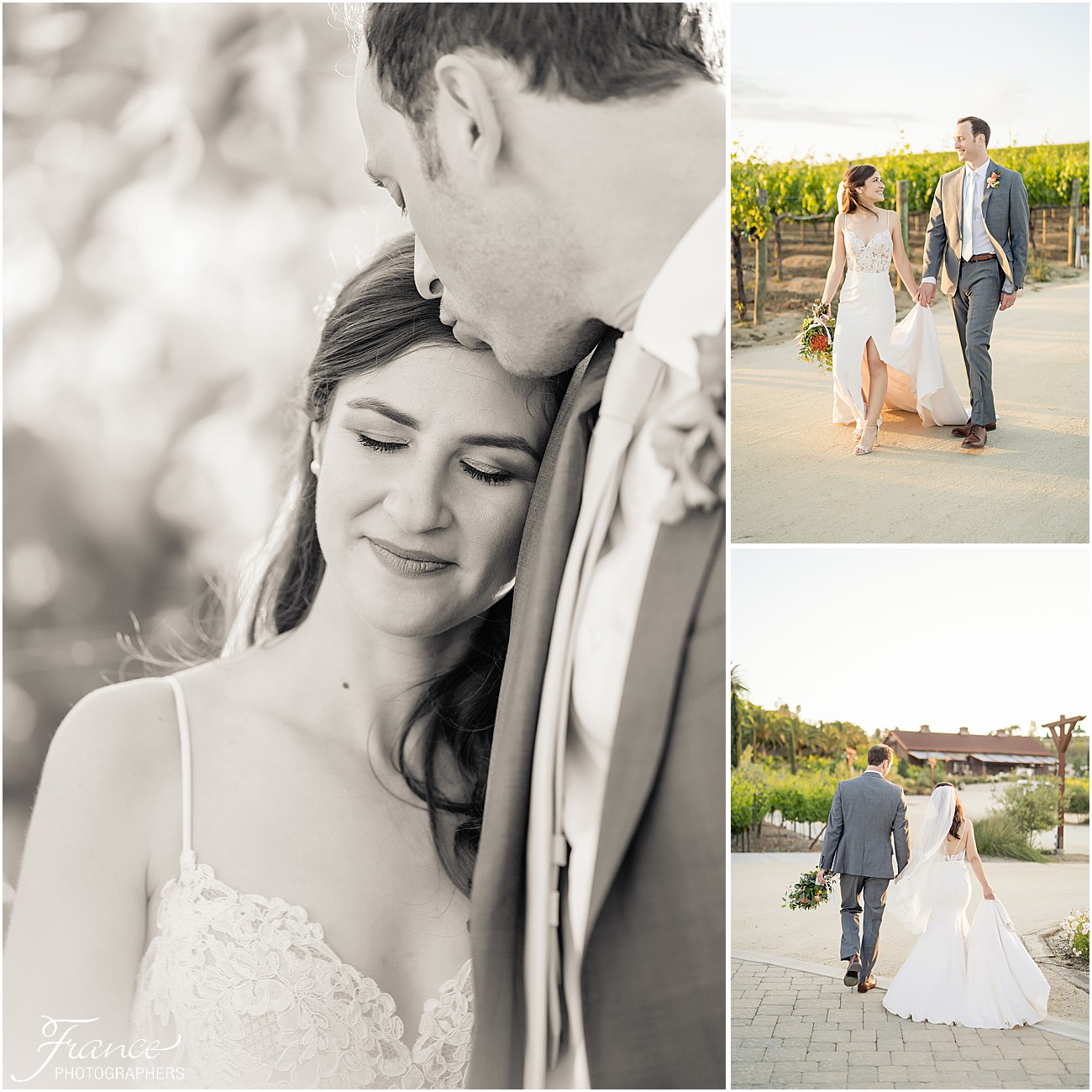 Peltzer Winery Temecula Spring Bride and Groom Portraits