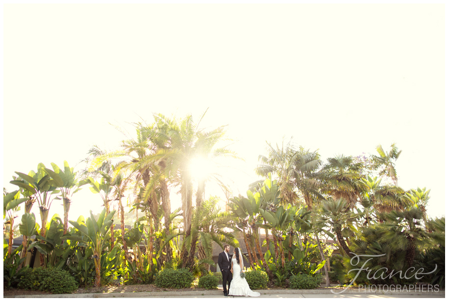San_Diego_Zoo_Wedding 0011